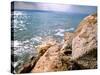 Rocky Shoreline with Salt Crystals, Dead Sea, Jordan-Cindy Miller Hopkins-Stretched Canvas