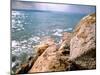 Rocky Shoreline with Salt Crystals, Dead Sea, Jordan-Cindy Miller Hopkins-Mounted Premium Photographic Print