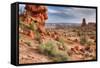 Rocky Southwest Landscape, Moab-Vincent James-Framed Stretched Canvas