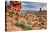 Rocky Southwest Landscape, Moab-Vincent James-Stretched Canvas