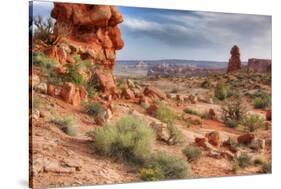 Rocky Southwest Landscape, Moab-Vincent James-Stretched Canvas