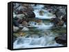 Rocky Stream-Cindy Kassab-Framed Stretched Canvas