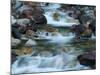 Rocky Stream-Cindy Kassab-Mounted Photographic Print