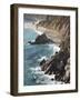 Rocky Stretch of Coastline in Big Sur, California, United States of America, North America-Donald Nausbaum-Framed Photographic Print