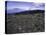 Rocky Terrain with Mountain in the Distance, Kilimanjaro-Michael Brown-Stretched Canvas