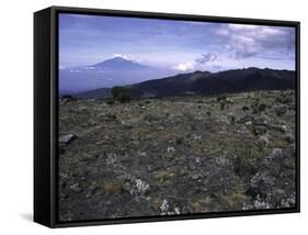 Rocky Terrain with Mountain in the Distance, Kilimanjaro-Michael Brown-Framed Stretched Canvas