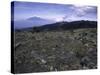 Rocky Terrain with Mountain in the Distance, Kilimanjaro-Michael Brown-Stretched Canvas