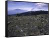 Rocky Terrain with Mountain in the Distance, Kilimanjaro-Michael Brown-Framed Stretched Canvas