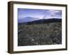Rocky Terrain with Mountain in the Distance, Kilimanjaro-Michael Brown-Framed Premium Photographic Print