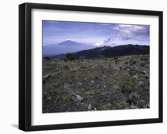 Rocky Terrain with Mountain in the Distance, Kilimanjaro-Michael Brown-Framed Premium Photographic Print