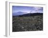 Rocky Terrain with Mountain in the Distance, Kilimanjaro-Michael Brown-Framed Premium Photographic Print