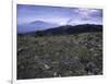 Rocky Terrain with Mountain in the Distance, Kilimanjaro-Michael Brown-Framed Premium Photographic Print