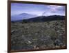 Rocky Terrain with Mountain in the Distance, Kilimanjaro-Michael Brown-Framed Premium Photographic Print