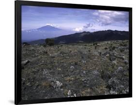 Rocky Terrain with Mountain in the Distance, Kilimanjaro-Michael Brown-Framed Premium Photographic Print