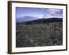 Rocky Terrain with Mountain in the Distance, Kilimanjaro-Michael Brown-Framed Photographic Print