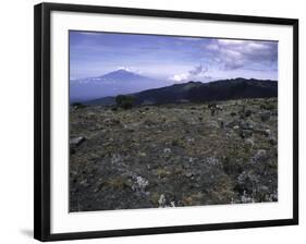 Rocky Terrain with Mountain in the Distance, Kilimanjaro-Michael Brown-Framed Photographic Print