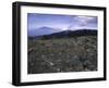 Rocky Terrain with Mountain in the Distance, Kilimanjaro-Michael Brown-Framed Photographic Print