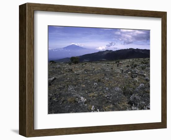 Rocky Terrain with Mountain in the Distance, Kilimanjaro-Michael Brown-Framed Photographic Print