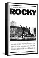 Rocky-null-Framed Stretched Canvas