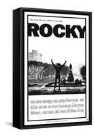 Rocky-null-Framed Stretched Canvas