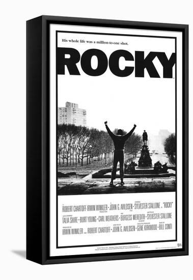 Rocky-null-Framed Stretched Canvas