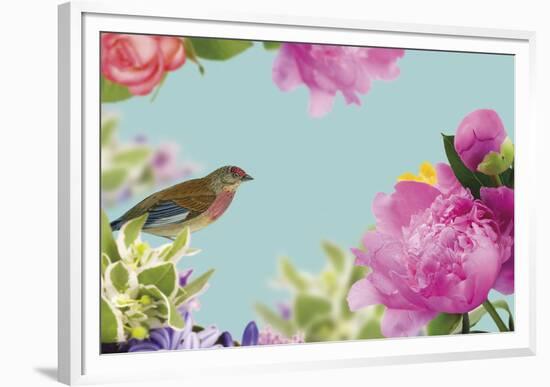 Rococo Birds I-Maria Mendez-Framed Giclee Print