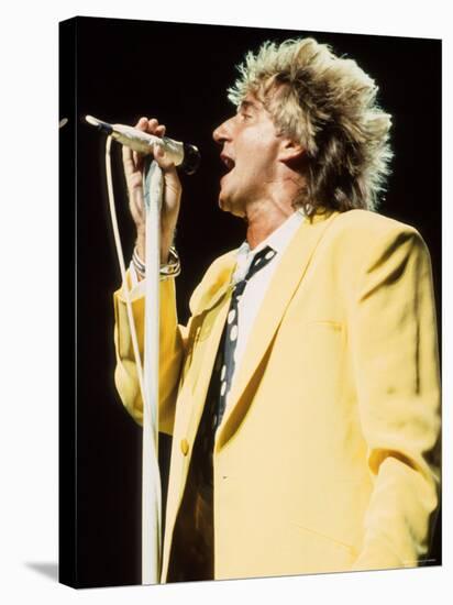Rod Stewart-null-Stretched Canvas