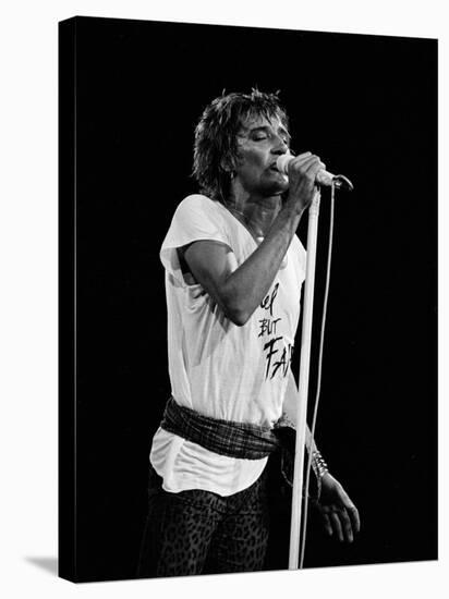 Rod Stewart-null-Stretched Canvas