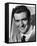 Rod Taylor - The V.I.P.s-null-Framed Stretched Canvas