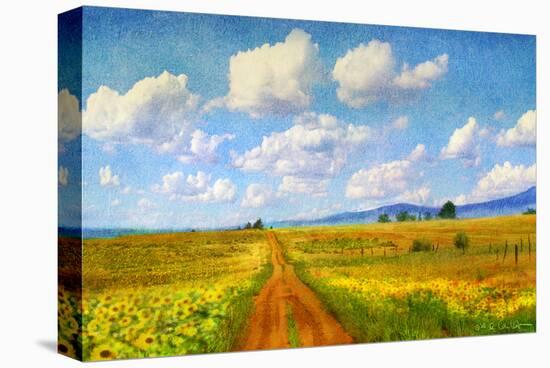 Rod to Sky-Chris Vest-Stretched Canvas