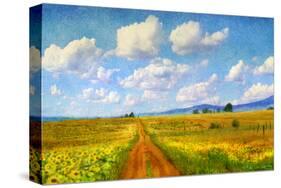 Rod to Sky-Chris Vest-Stretched Canvas