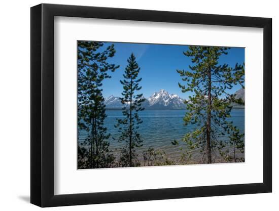 Premium Photographic Print, , large