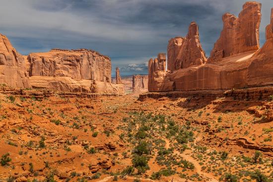 Premium Photographic Print, , large