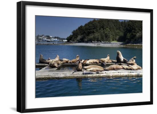 Photographic Print, , large