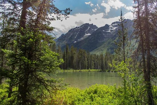 Premium Photographic Print, , large