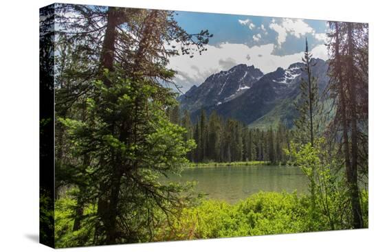 Stretched Canvas Print, , large
