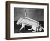 Rodent Regalia-null-Framed Photographic Print