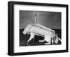 Rodent Regalia-null-Framed Photographic Print