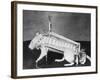 Rodent Regalia-null-Framed Photographic Print