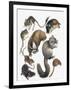 Rodents-null-Framed Giclee Print