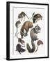 Rodents-null-Framed Giclee Print