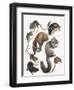 Rodents-null-Framed Giclee Print