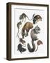 Rodents-null-Framed Giclee Print