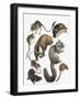 Rodents-null-Framed Giclee Print