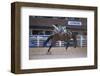 Rodeo at Calgary Stampede, Calgary, Alberta, Canada-null-Framed Art Print