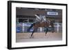 Rodeo at Calgary Stampede, Calgary, Alberta, Canada-null-Framed Art Print