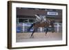 Rodeo at Calgary Stampede, Calgary, Alberta, Canada-null-Framed Art Print