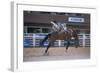 Rodeo at Calgary Stampede, Calgary, Alberta, Canada-null-Framed Art Print