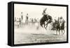 Rodeo Bronco Buster, Cheyenne, Wyoming-null-Framed Stretched Canvas