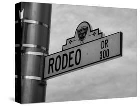 Rodeo Drive 1-Dale MacMillan-Stretched Canvas